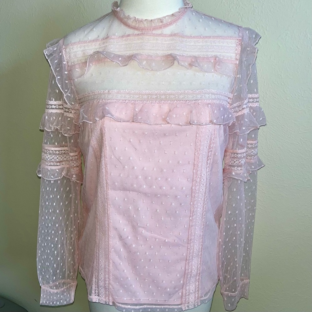 Express Light Pink Dotted-Swiss Frilly Lace Mockneck Long Sleeve Blouse Top